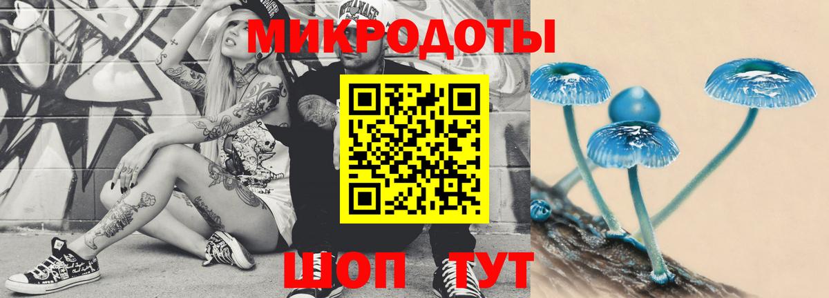Биробиджан  Галлюциногенные грибы прущие грибы  Вход с VPN 
